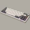 LORGAR KBP70MW Wireless 65% Mechanical Gaming Keyboard Pro Beige EN layout - Image 7