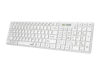 Genius SlimStar 126 tastatura  USB veza, low-profile tipke, bijela - Image 2