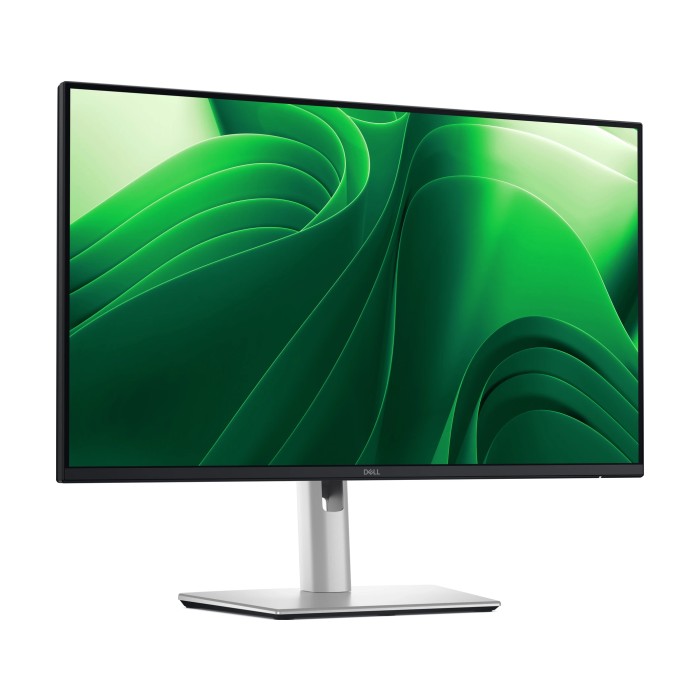 Dell Pro 24 Plus QHD - P2425DE