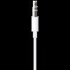 Lightning to 3.5 mm Audio Cable (1.2m) - White Model A1879