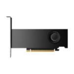 PNY NVIDIA 2000 Ada 16GB LowProfile OEM Version PCI-Express x16 Gen 4.0 Dual Slot 16