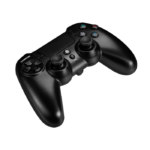CANYON gamepad GP-W5 PS4 Wireless Black