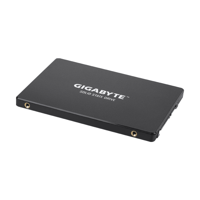 Gigabyte SSD 256GB,2.5"; R/W : 520/500MB/s GP-GSTFS31256GTND G12