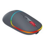 CANYON mouse MW-22 2in1 BT/ Wireless Dark Grey