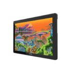 HUION Grafički Tablet Kamvas 22 Plus