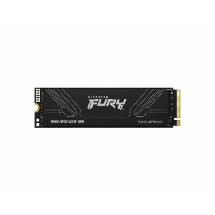 Kingston SSD 4TB NVMe M.2Fury Renegade, PCIe 5.0R/W : 14800/14000MB/s
